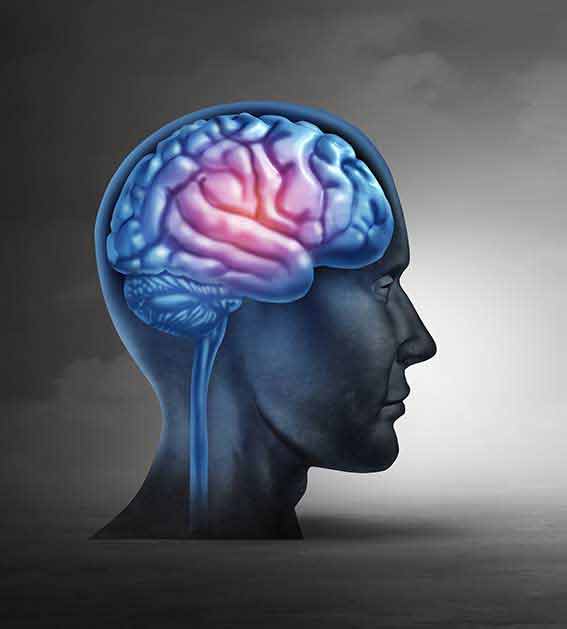 CNS-Neuro.jpg