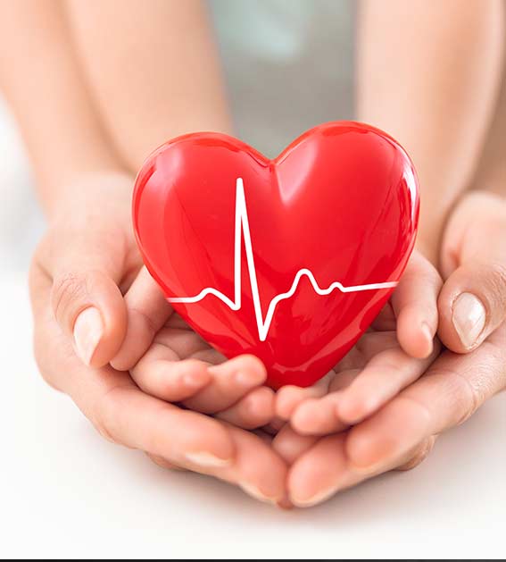Cardiology.jpg