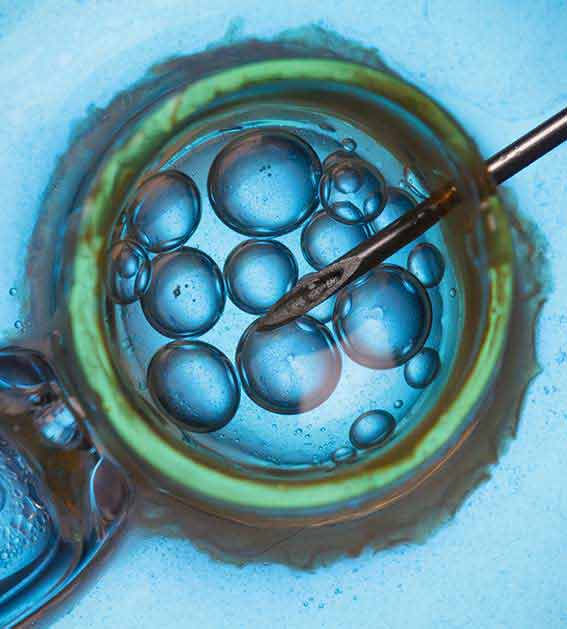 Urology-Infertility.jpg